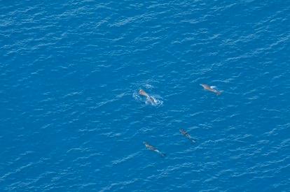 WhatsApp Image 2024-10-04 at 14_44_24_9eaf0224 - C